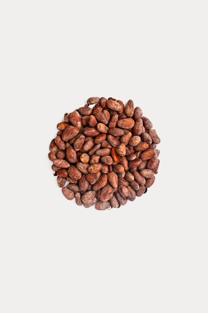 Understanding Cacao Sourcing Standards